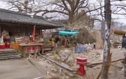 宁夏一日游如何玩转精华景点？，说明，，核心关键词， 直接包含宁夏、一日游、精华景点这些用户最可能搜索的核心关键词。，疑问句式， 如何玩转以问题形式吸引点击，满足用户寻找解决方案的需求。，简洁有力， 长度适中，清晰传达文章核心内容（一日游的精华玩法）。，吸引力， 玩转精华景点暗示内容实用且有价值，能帮助用户高效游玩。，SEO友好， 结构符合搜索引擎对标题的理解习惯，关键词布局合理。