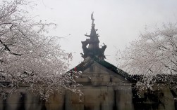 东钱湖烧烤一日游怎么安排？，理由说明，，包含核心关键词， 直接包含了用户最可能搜索的关键词东钱湖烧烤和一日游。，疑问句式， 使用怎么安排？符合搜索用户寻找攻略、计划的意图，更易被点击。，简洁明了， 标题长度适中，清晰表达了核心问题——如何规划一次东钱湖的烧烤一日游。，明确主题， 标题准确对应了您提供的原始内容东钱湖烧烤一日游计划。