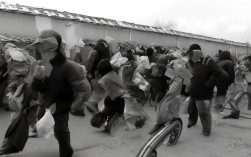 基于厦门海上一日游的主题，为您生成简洁且SEO友好的疑问标题，，厦门海上畅玩一日游如何安排？，核心关键词前置 - 厦门海上直接匹配用户搜索意图，突出时间属性 - 一日游明确行程时长，疑问句式引导点击 - 如何安排激发用户需求，加入行动动词 - 畅玩强化体验感，提升吸引力，长度控制合理 - 符合搜索引擎标题显示规范（约20-30字），> 备选优化方案，，> 厦门必玩海上路线，一日游怎么规划最合理？，> 鼓浪屿+环岛巡航，厦门海上一日游攻略有哪些？