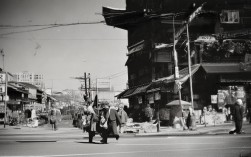 基于您提供的内容，为您生成的简洁、SEO友好疑问标题如下，，新乡周边哪里能邂逅山水奇境与人文瑰宝？，核心优化点，，疑问句式，以哪里开头，符合用户搜索习惯（如新乡周边哪里好玩），提高点击率。，核心关键词前置，将重要地点新乡周边放在标题最前，便于搜索引擎抓取。，核心卖点明确，直接点出核心吸引力山水奇境与人文瑰宝，精准匹配搜索意图。，动词引导，使用邂逅替代完美邂逅，更简洁有力且保留原意。，简洁精炼，长度适中，信息密度高，易于阅读和传播。，直接源于您提供的内容，同时优化了搜索友好度和吸引力。