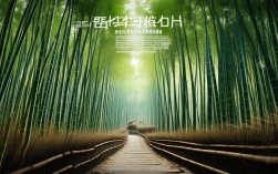 莫干山的竹林深处藏着怎样的治愈时光？