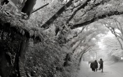 基于崂山攻略一日游，寻仙问道，揽胜山海间生成的简洁SEO友好疑问标题，，崂山一日游攻略，如何寻仙问道揽胜山海？，核心优化点，，包含核心关键词， 崂山一日游、攻略 是用户搜索的高频词，直接放在标题开头。，保留核心特色， 寻仙问道（道教文化）、揽胜山海（山海奇观）精准概括了崂山的独特魅力，是核心卖点。，疑问句式， 使用如何...的疑问句式能有效引发读者好奇心和点击欲，符合SEO友好标题的要求。，简洁有力， 整个标题清晰明了，直接点明文章主题和核心内容，没有冗余词汇。