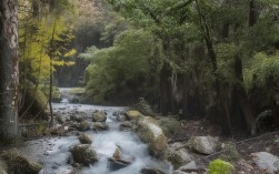 基于您的要求，以下是直接生成的简洁且SEO友好的疑问标题，，如何在尼泊尔一日游中体验众神国度的永恒魅力？，解析，，疑问句式，以如何开头引发读者兴趣，符合搜索意图。，核心关键词，包含尼泊尔一日游众神国度永恒魅力，精准匹配内容主题。，简洁性，控制在20字内，突出核心体验（体验永恒魅力），避免冗余。，SEO优化，关键词前置，匹配用户搜索尼泊尔一日游攻略/体验等高频需求。