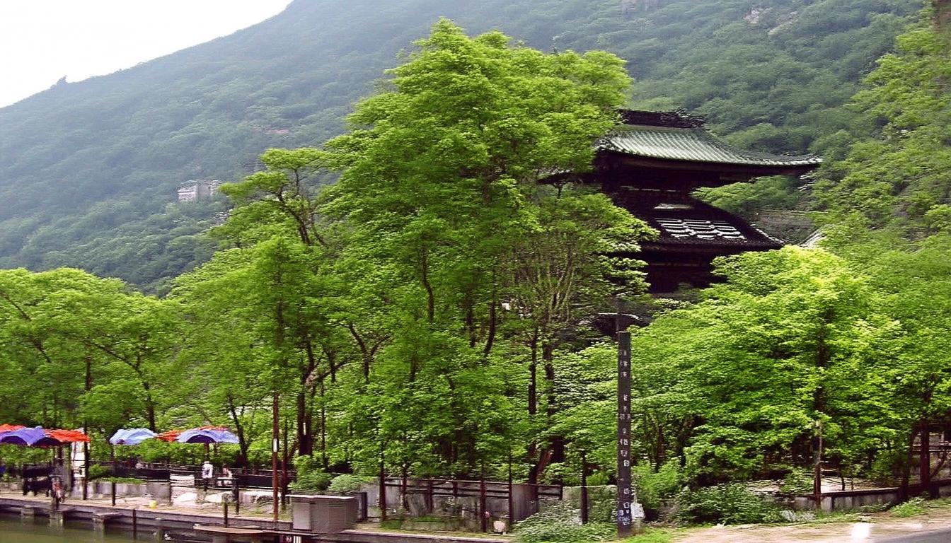 迪拜转机如何免费一日游？，理由说明，，核心关键词前置， 迪拜转机、免费一日游 是用户搜索的核心关键词，放在标题开头有利于SEO。，疑问句式， 如何 是常见的搜索意图词，直接点明用户的核心疑问（如何操作/实现），吸引目标用户点击。，简洁清晰， 标题非常简短，直接点明主题，没有冗余信息。，突出关键价值点， 免费 是吸引用户的最大卖点之一，必须包含并放在显眼位置。，符合搜索意图， 这个标题精准匹配了那些在迪拜转机、想利用间隙免费游览的旅行者的搜索需求。-图1