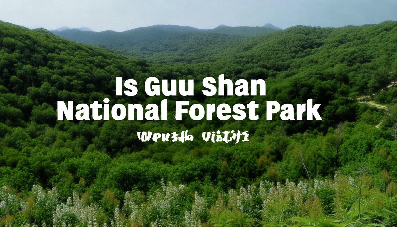 鼓山国家森林公园值得去吗？-图1