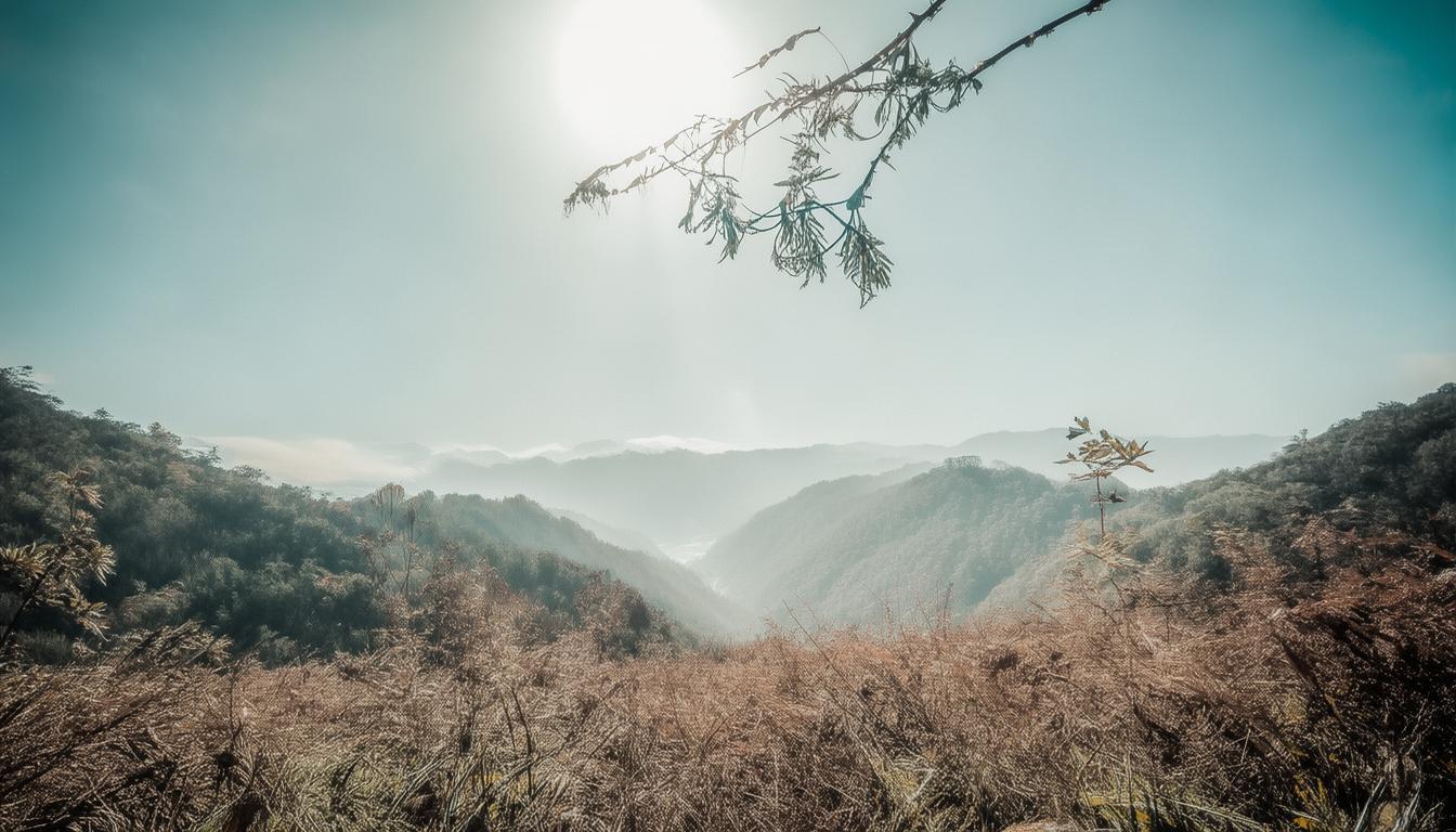 基于您的要求，直接生成的简洁、SEO友好疑问标题是，，北海道哪里藏着道东、道北、道南与道央不为人知的魅力？，核心优化点，，疑问句式，以哪里提问，天然引发搜索者好奇心与点击欲。，核心关键词前置，将核心地域词北海道放在开头，利于SEO抓取。，覆盖所有区域，明确包含道东、道北、道南、道央，精准匹配目标信息。，突出隐藏魅力，用藏着、不为人知替代解锁，更口语化且强调独特性，符合探秘主题。，简洁有力，控制在合理长度，信息明确无冗余。，直接对应您提供的核心内容，并针对搜索意图和关键词进行了优化。-图2