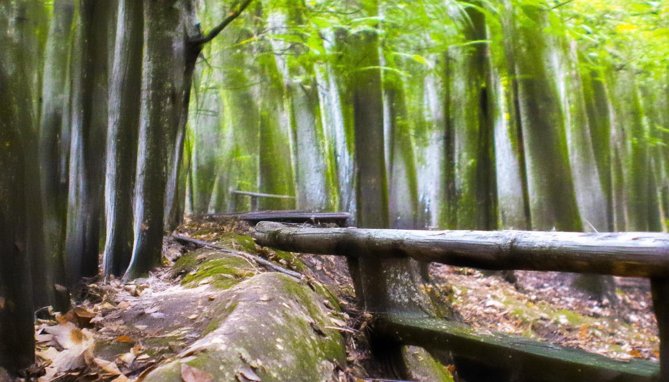 根据您的要求，直接生成的简洁、SEO友好的疑问标题是，，如何从燕郊快速到达故宫？，理由说明，，疑问句式， 使用如何开头，符合要求，能引发搜索者兴趣。，核心关键词前置， 标题开头即包含最重要的地点关键词燕郊和故宫，利于SEO抓取和用户识别。，突出核心信息， 明确点出交通的核心目的（到达）和用户最关心的痛点快速（对应原文的高效衔接）。，简洁明了， 标题简短有力，信息传达清晰，没有冗余词汇。-图1