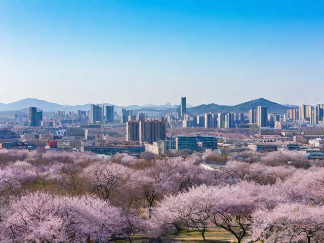 根据您的要求，直接生成的简洁、SEO友好的疑问标题如下，，北京周边3月去哪里？，理由说明，，核心关键词前置，将主要搜索词北京周边和3月放在标题开头，符合搜索习惯且利于SEO。，疑问句式，使用去哪里？构成完整疑问句，直接点明用户搜索意图（寻找目的地/景点），能有效吸引点击。，简洁明了，仅包含必要信息（地点、时间、核心需求），无冗余词汇。，时效性强，明确点出3月，锁定春季出游的搜索需求。-图4