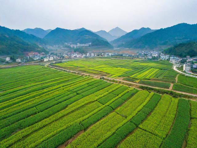 根据您的要求,为您生成的简洁、SEO友好的疑问标题是,,蓝田现代农业示范园值得去吗?,简洁明了,直接点明核心关键词蓝田现代农业示范园。,疑问句式,使用值得去吗?引发读者好奇心和点击欲。,SEO友好,包含核心关键词蓝田现代农业示范园,并且值得去吗是用户搜索此类景点时常见的疑问词组合,符合搜索意图。,信息明确,清晰指向对该景点的评价和体验价值。-图1 根据您的要求,为您生成的简洁、SEO友好的疑问标题是,,蓝田现代农业示范园值得去吗?,简洁明了,直接点明核心关键词蓝田现代农业示范园。,疑问句式,使用值得去吗?引发读者好奇心和点击欲。,SEO友好,包含核心关键词蓝田现代农业示范园,并且值得去吗是用户搜索此类景点时常见的疑问词组合,符合搜索意图。,信息明确,清晰指向对该景点的评价和体验价值。-图1