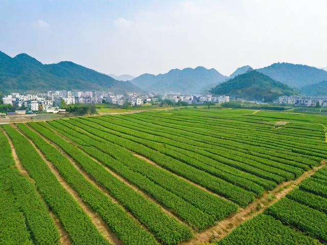 根据您的要求,为您生成的简洁、SEO友好的疑问标题是,,蓝田现代农业示范园值得去吗?,简洁明了,直接点明核心关键词蓝田现代农业示范园。,疑问句式,使用值得去吗?引发读者好奇心和点击欲。,SEO友好,包含核心关键词蓝田现代农业示范园,并且值得去吗是用户搜索此类景点时常见的疑问词组合,符合搜索意图。,信息明确,清晰指向对该景点的评价和体验价值。-图2 根据您的要求,为您生成的简洁、SEO友好的疑问标题是,,蓝田现代农业示范园值得去吗?,简洁明了,直接点明核心关键词蓝田现代农业示范园。,疑问句式,使用值得去吗?引发读者好奇心和点击欲。,SEO友好,包含核心关键词蓝田现代农业示范园,并且值得去吗是用户搜索此类景点时常见的疑问词组合,符合搜索意图。,信息明确,清晰指向对该景点的评价和体验价值。-图2