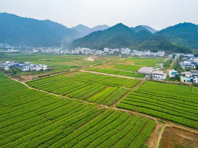 根据您的要求,为您生成的简洁、SEO友好的疑问标题是,,蓝田现代农业示范园值得去吗?,简洁明了,直接点明核心关键词蓝田现代农业示范园。,疑问句式,使用值得去吗?引发读者好奇心和点击欲。,SEO友好,包含核心关键词蓝田现代农业示范园,并且值得去吗是用户搜索此类景点时常见的疑问词组合,符合搜索意图。,信息明确,清晰指向对该景点的评价和体验价值。-图4 根据您的要求,为您生成的简洁、SEO友好的疑问标题是,,蓝田现代农业示范园值得去吗?,简洁明了,直接点明核心关键词蓝田现代农业示范园。,疑问句式,使用值得去吗?引发读者好奇心和点击欲。,SEO友好,包含核心关键词蓝田现代农业示范园,并且值得去吗是用户搜索此类景点时常见的疑问词组合,符合搜索意图。,信息明确,清晰指向对该景点的评价和体验价值。-图4