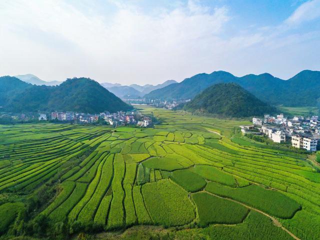 汝阳县周边有哪些自然与人文的隐秘宝藏?-图4 汝阳县周边有哪些自然与人文的隐秘宝藏?-图4
