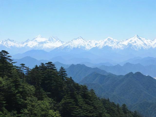 雪峰山国家森林公园的自然秘境在哪里？-图1