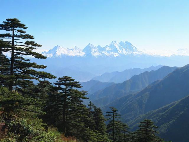 雪峰山国家森林公园的自然秘境在哪里？-图2