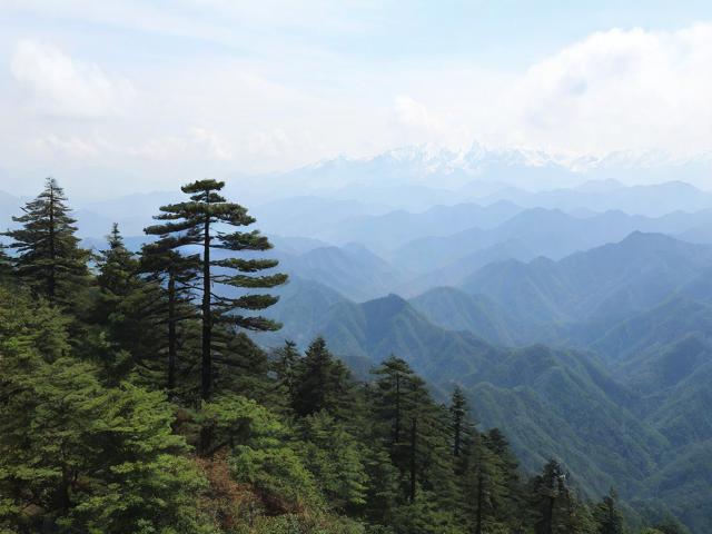 雪峰山国家森林公园的自然秘境在哪里？-图3