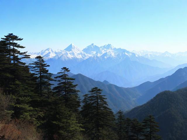 雪峰山国家森林公园的自然秘境在哪里？-图4
