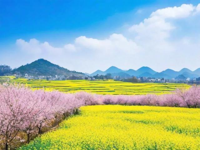 成都周边春游去哪里？春日限定风景好去处推荐-图1