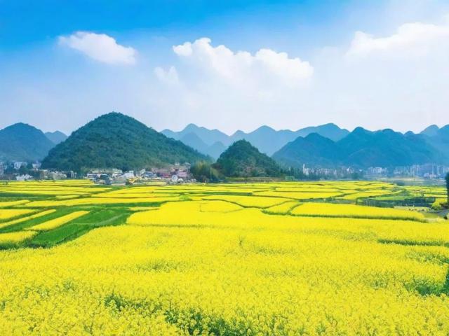 成都周边春游去哪里？春日限定风景好去处推荐-图2