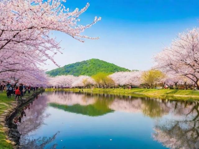 成都周边春游去哪里？春日限定风景好去处推荐-图3