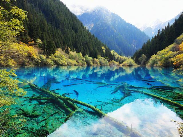 九寨沟为何被誉为人间仙境的色彩天堂？-图3
