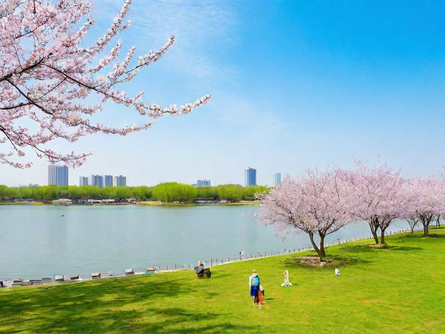 基于太阳岛，城市绿洲的春日重生的核心信息，生成简洁且SEO友好的疑问式标题如下，，太阳岛，城市绿洲如何春日焕新？，理由说明，，核心关键词前置， 太阳岛作为核心地点名称放在开头，最利于SEO抓取和用户识别。，突出核心概念， 城市绿洲直接点明其重要属性。，疑问引发兴趣， 如何春日焕新？ 用疑问句式点出春日重生的核心变化，引发读者好奇（是什么变化？怎么变的？），比陈述句更具吸引力。，简洁有力， 整个标题精炼，符合要求。，SEO友好， 包含了用户可能搜索的关键词组合太阳岛、城市绿洲、春日。-图3