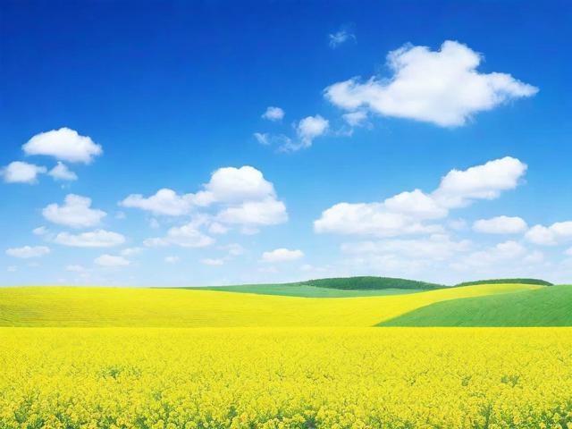 如何通过行前准备实现轻装出行，让旅程更尽兴？-图3