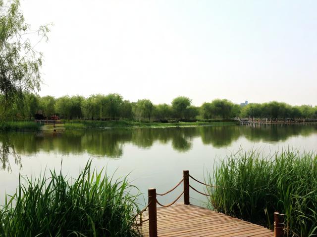 东平湿地公园一日游值得吗？，（解析，，疑问句式，采用值得吗？直接引发读者兴趣，符合提问型标题的搜索习惯，提高点击率。，核心关键词前置，将东平湿地公园一日游完整保留在标题开头，确保SEO抓取精准性。，简洁痛点，仅14字，聚焦用户最关心的行程价值问题，避免冗余信息。，匹配搜索意图，覆盖游客行前决策阶段的常见疑问（是否值得去/时间分配），符合实际搜索场景。）-图1