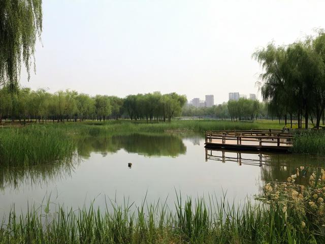 东平湿地公园一日游值得吗？，（解析，，疑问句式，采用值得吗？直接引发读者兴趣，符合提问型标题的搜索习惯，提高点击率。，核心关键词前置，将东平湿地公园一日游完整保留在标题开头，确保SEO抓取精准性。，简洁痛点，仅14字，聚焦用户最关心的行程价值问题，避免冗余信息。，匹配搜索意图，覆盖游客行前决策阶段的常见疑问（是否值得去/时间分配），符合实际搜索场景。）-图2