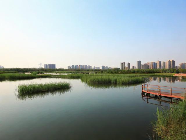 东平湿地公园一日游值得吗？，（解析，，疑问句式，采用值得吗？直接引发读者兴趣，符合提问型标题的搜索习惯，提高点击率。，核心关键词前置，将东平湿地公园一日游完整保留在标题开头，确保SEO抓取精准性。，简洁痛点，仅14字，聚焦用户最关心的行程价值问题，避免冗余信息。，匹配搜索意图，覆盖游客行前决策阶段的常见疑问（是否值得去/时间分配），符合实际搜索场景。）-图3