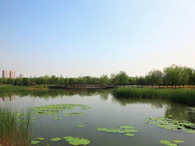 东平湿地公园一日游值得吗？，（解析，，疑问句式，采用值得吗？直接引发读者兴趣，符合提问型标题的搜索习惯，提高点击率。，核心关键词前置，将东平湿地公园一日游完整保留在标题开头，确保SEO抓取精准性。，简洁痛点，仅14字，聚焦用户最关心的行程价值问题，避免冗余信息。，匹配搜索意图，覆盖游客行前决策阶段的常见疑问（是否值得去/时间分配），符合实际搜索场景。）-图4