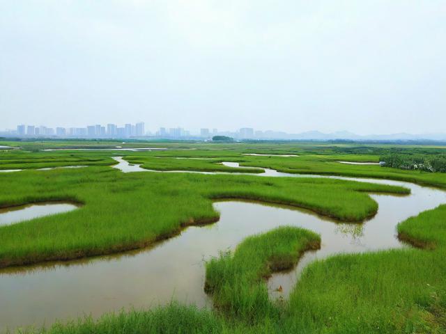 南京周边有哪些湿地秘境适合一日游？解锁绿野仙踪！-图4