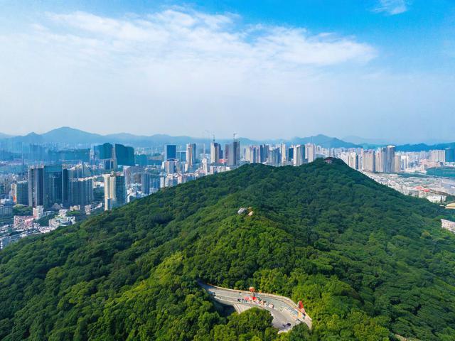 为什么南山景区成为三亚旅游的首选第一站？-图1