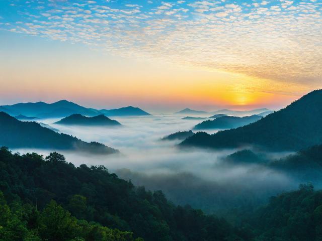 为何清晨7:30的自然调色盘最值得探索?-图1 为何清晨7:30的自然调色盘最值得探索?-图1