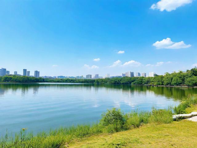 滴水湖自驾一日游如何规划?必看路线与景点攻略-图3 滴水湖自驾一日游如何规划?必看路线与景点攻略-图3